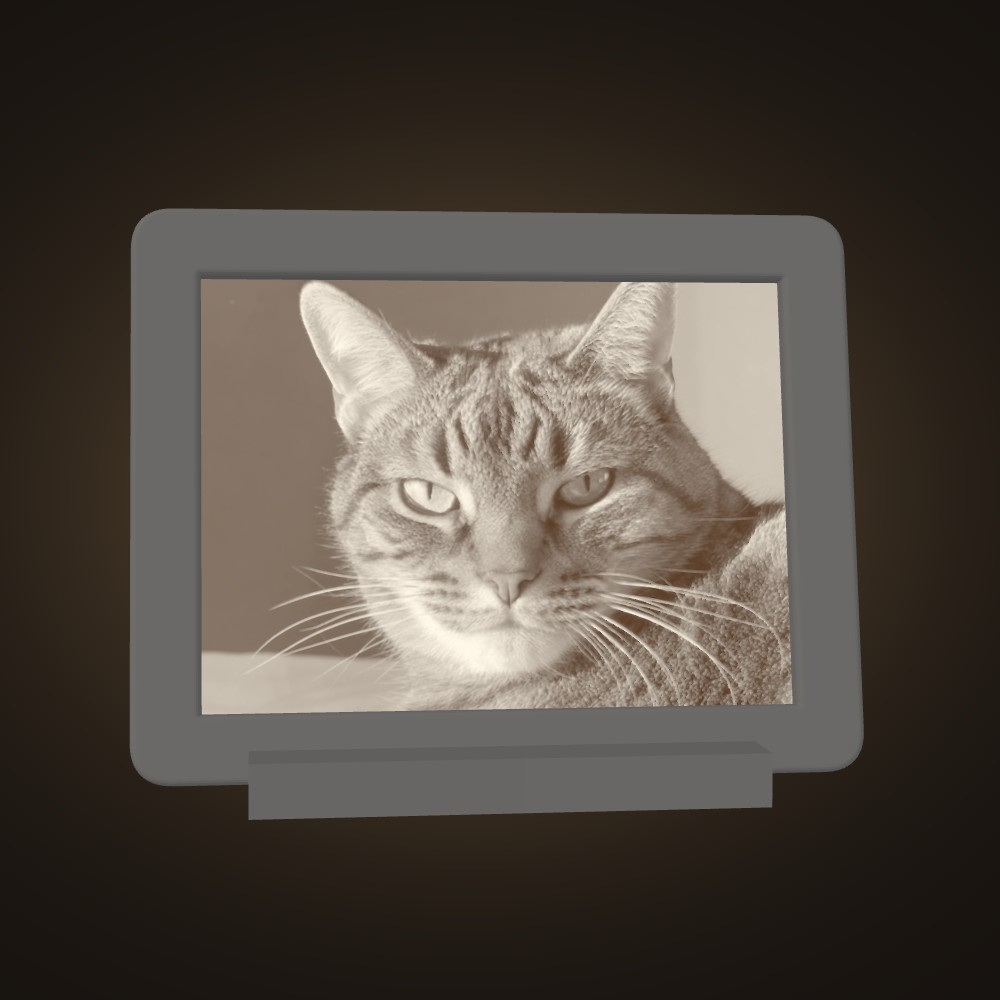 A tabby cat, lit