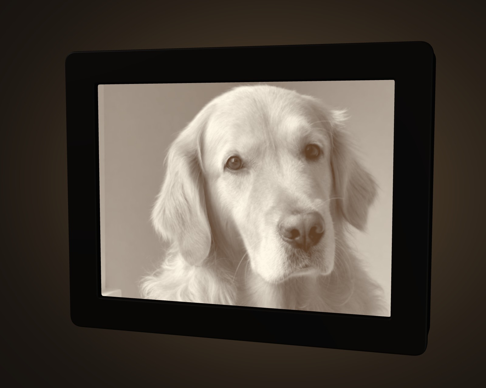 A Glowframe Light Box with a photo of a dog, lit: the photo glows